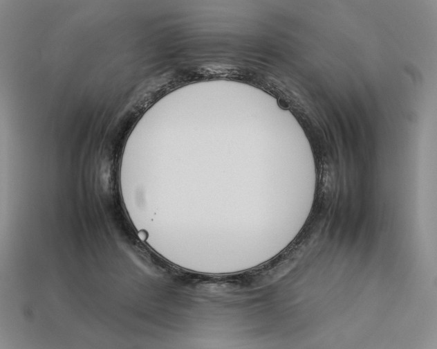 X0000113350408200910131243