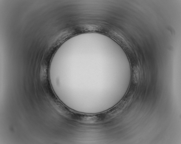 X0000113350410200910131243