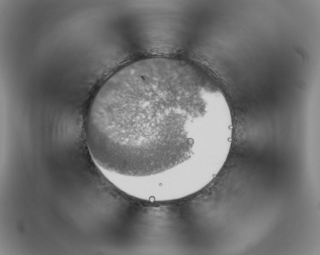 X0000113350411200910131243