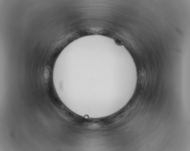 X0000113350412200910131243