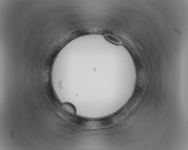 X0000113350413200910131243