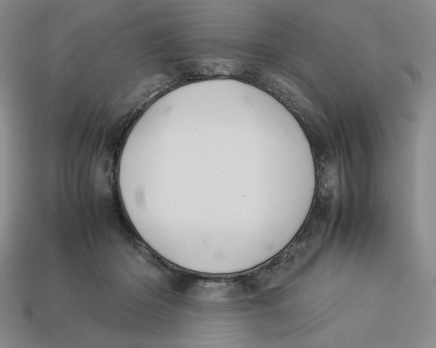 X0000113350414200910131243