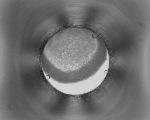 X0000113350415200910131243