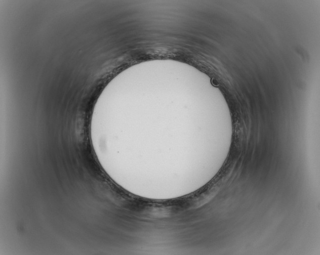 X0000113350416200910131243