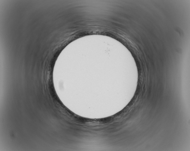 X0000113350417200910131243