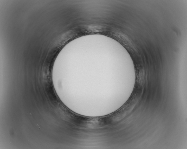 X0000113350418200910131243