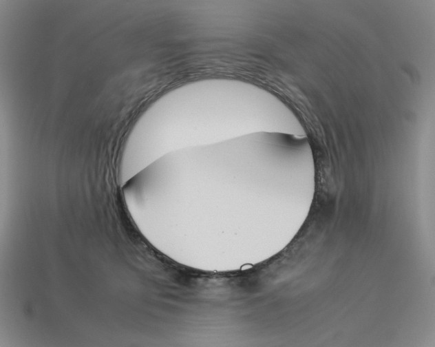 X0000113350419200910131243