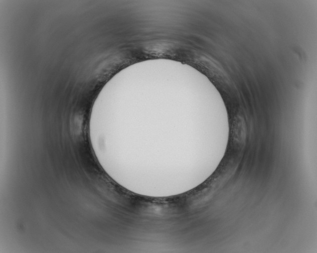 X0000113350420200910131243