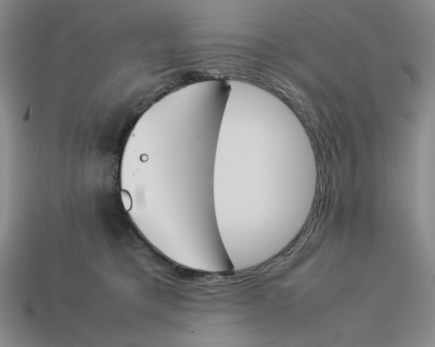 X0000113350421200910131243