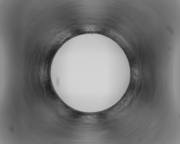 X0000113350422200910131243