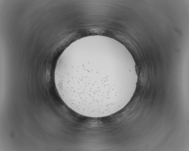 X0000113350424200910131243