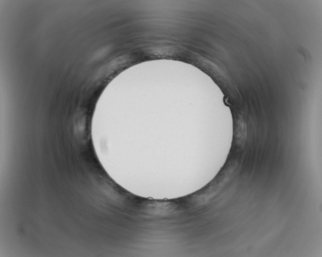 X0000113350428200910131243