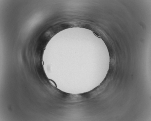 X0000113350429200910131243