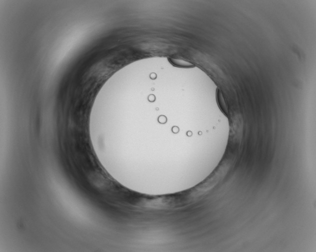 X0000113350430200910131243