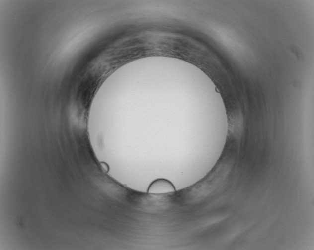 X0000113350431200910131243