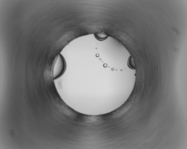 X0000113350432200910131243