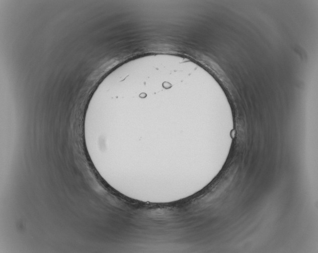 X0000113350433200910131243