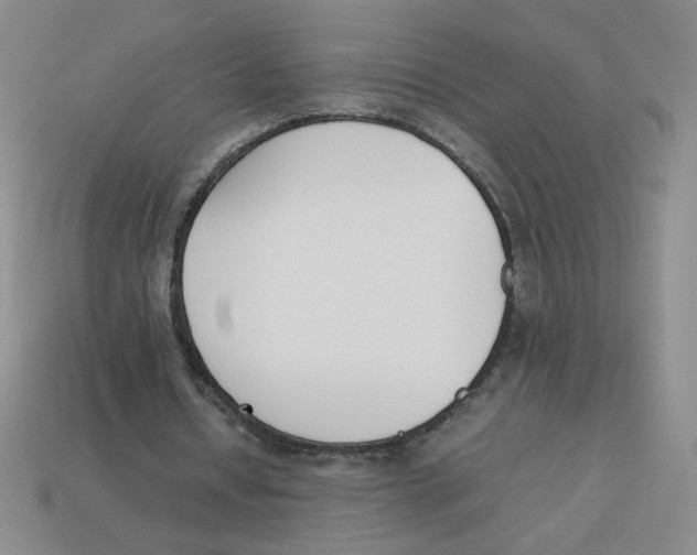 X0000113350434200910131243