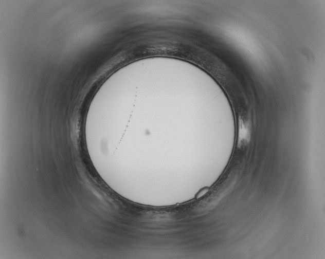 X0000113350435200910131243