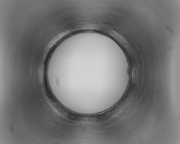 X0000113350436200910131243