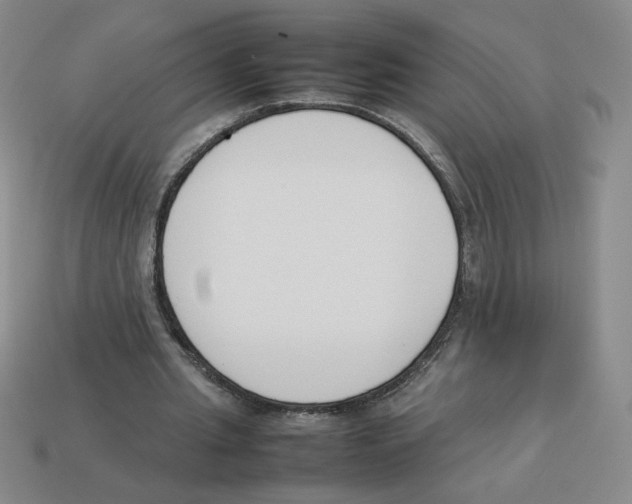 X0000113350437200910131243