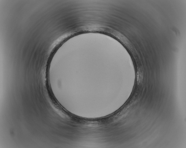 X0000113350438200910131243