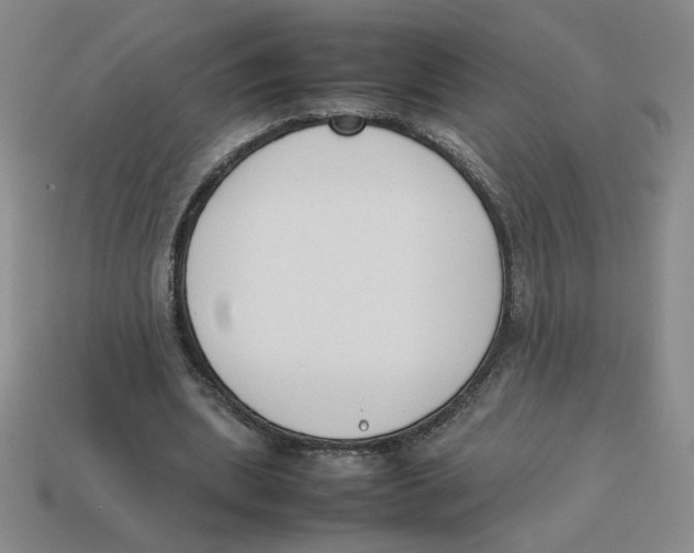 X0000113350439200910131243