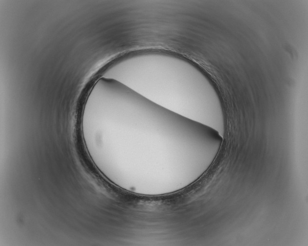 X0000113350440200910131243