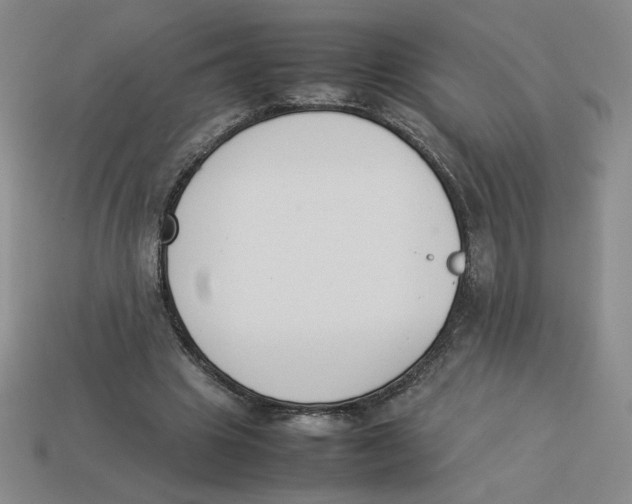 X0000113350441200910131243