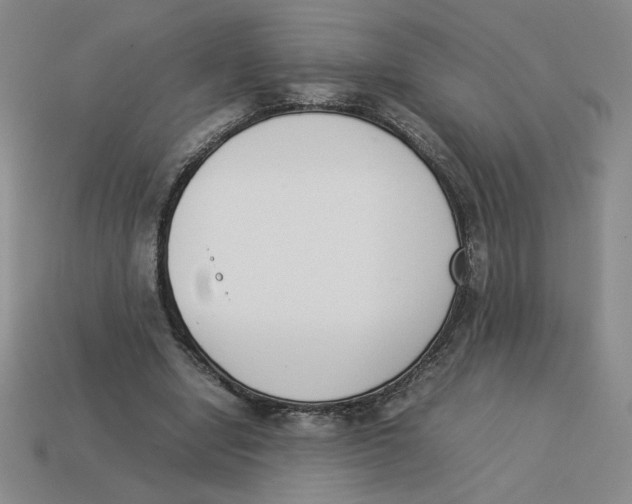 X0000113350442200910131243