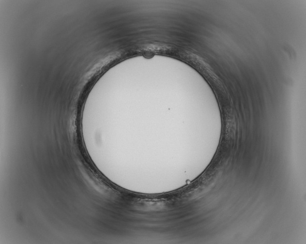 X0000113350443200910131243