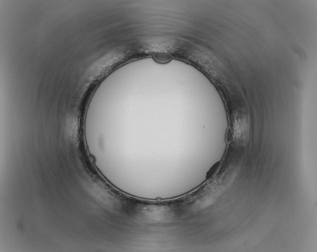 X0000113350444200910131243