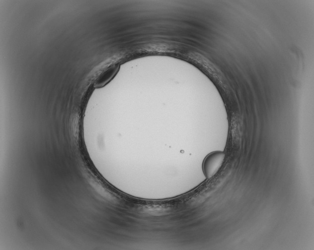 X0000113350445200910131243