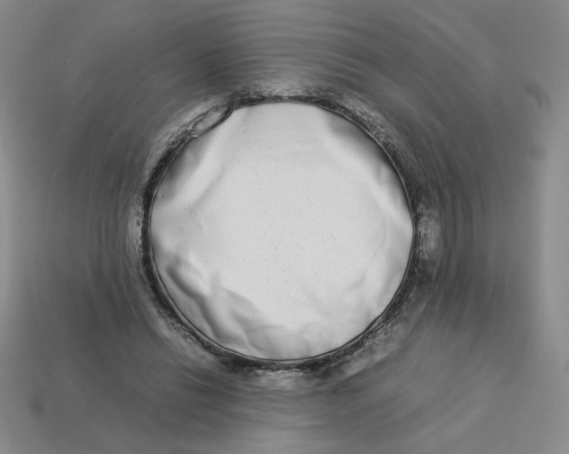 X0000113350446200910131243