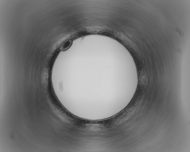 X0000113350448200910131243