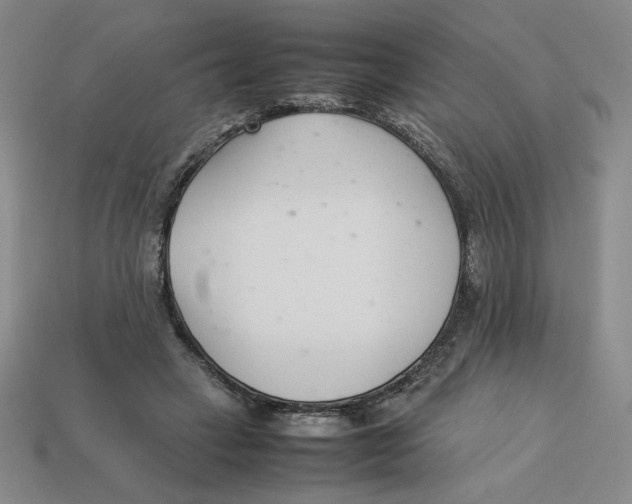 X0000113350449200910131243