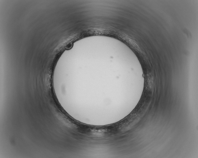 X0000113350450200910131243