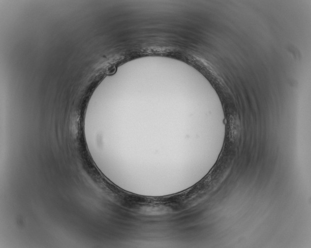 X0000113350451200910131243