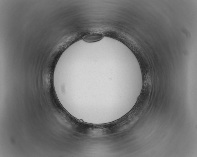 X0000113350452200910131243