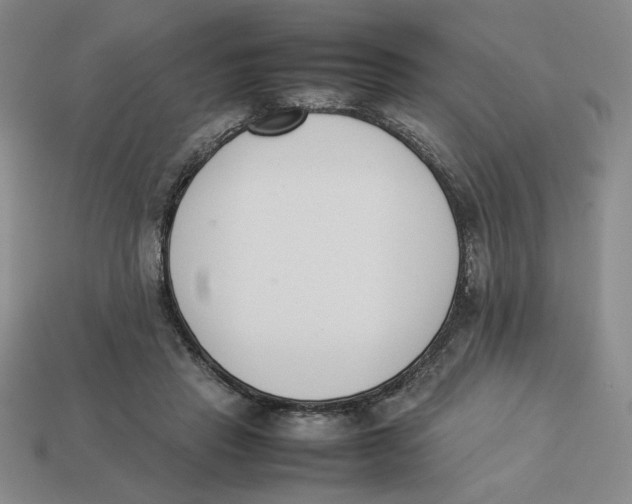 X0000113350453200910131243