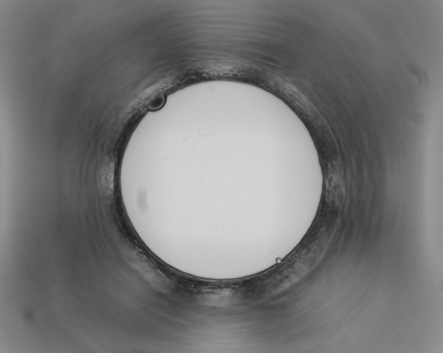 X0000113350454200910131243