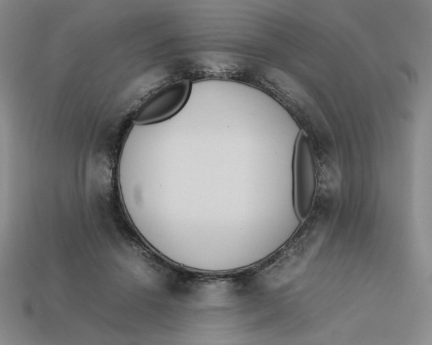 X0000113350456200910131243