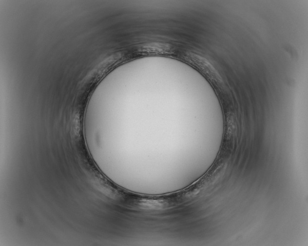 X0000113350457200910131243