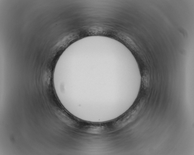 X0000113350458200910131243