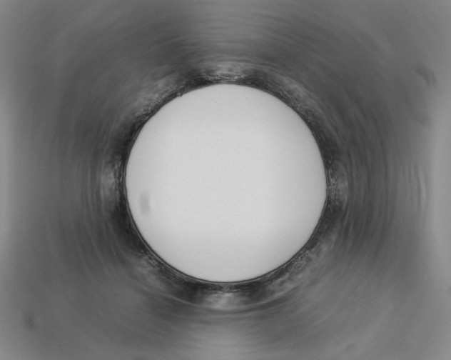 X0000113350460200910131243