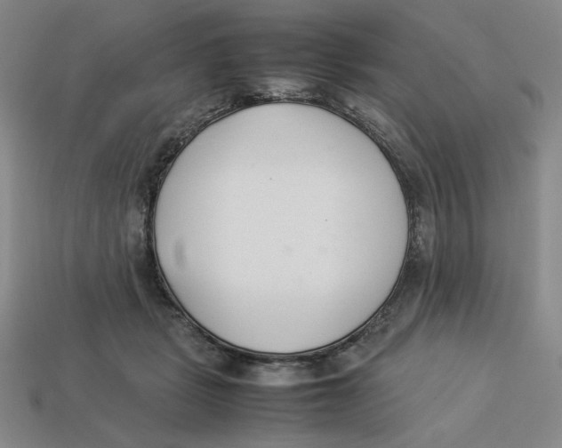 X0000113350461200910131243