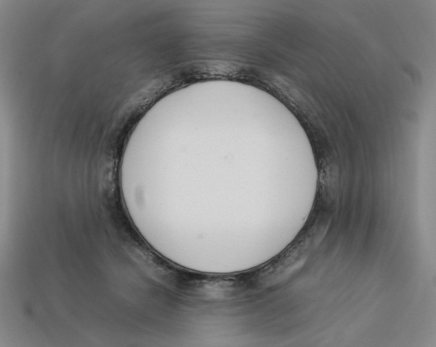 X0000113350462200910131243