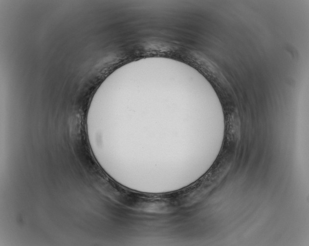 X0000113350463200910131243