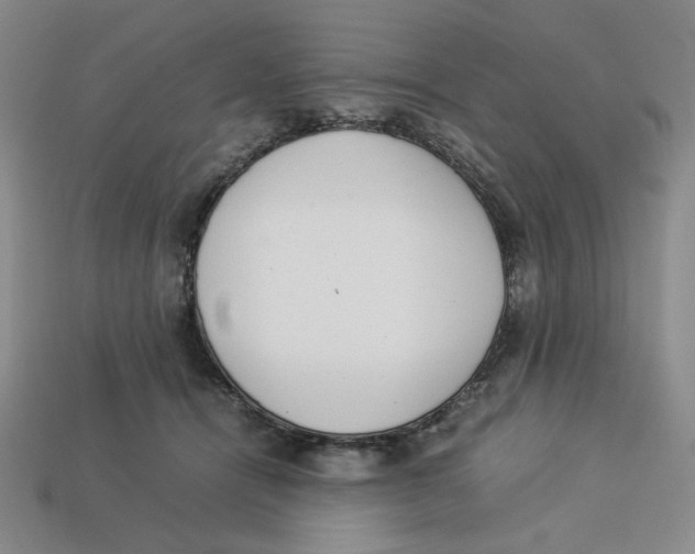 X0000113350464200910131243