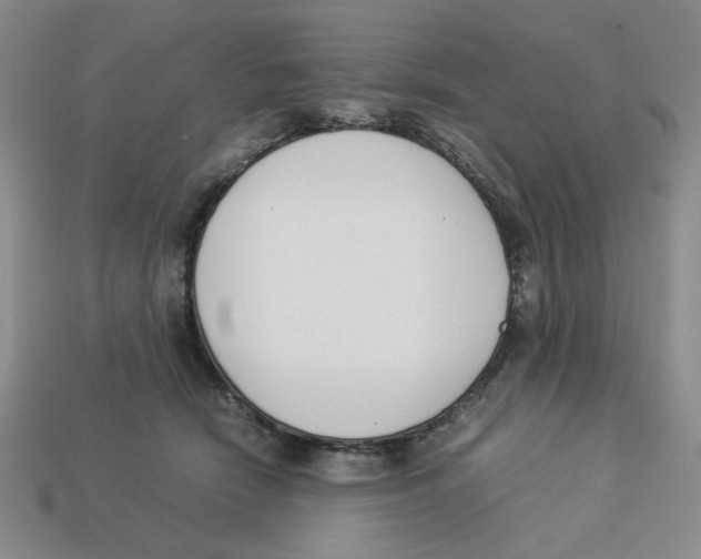 X0000113350466200910131243